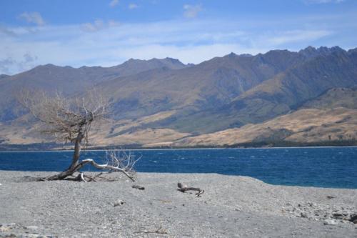 nz_4