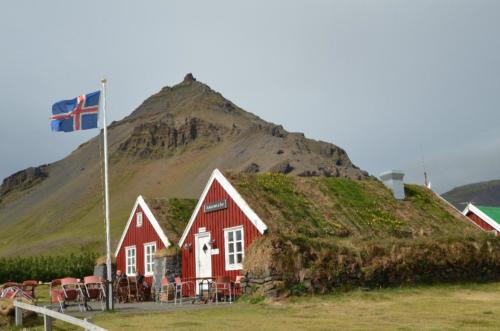 DSC 1130